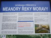 reka-morava-006