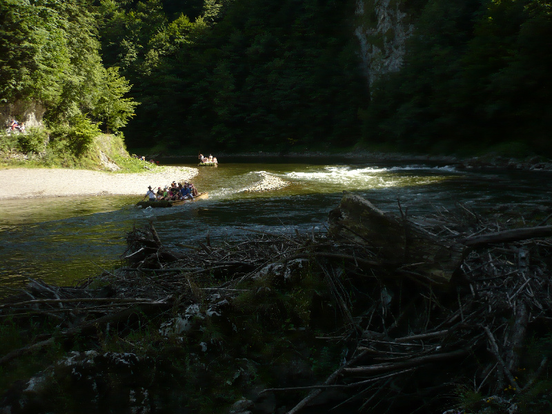 Splavovanie Dunajec