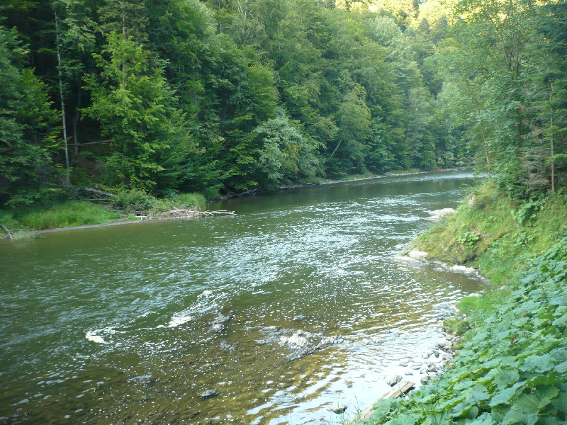 Splavovanie Dunajec